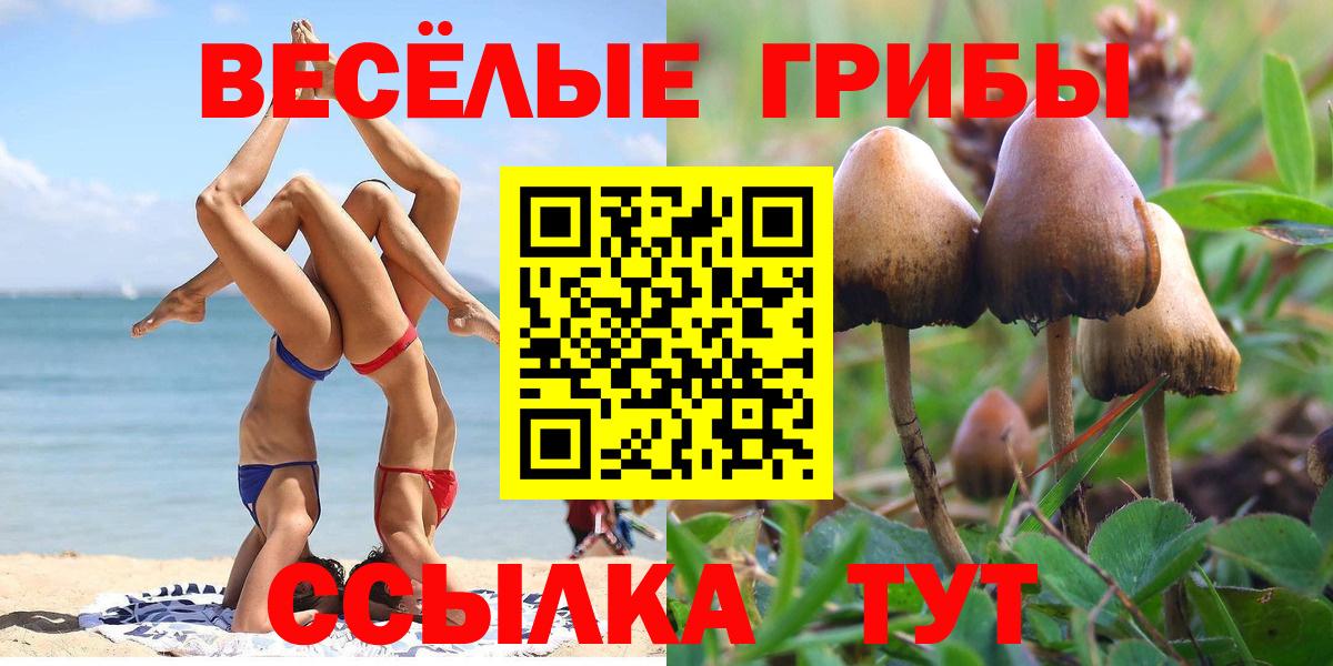 Галлюциногенные грибы ЛСД Братск